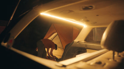 Lyra Light - Play & Play Interior Lighting Upgrade, Installs in Minutes, Universally Compatible!